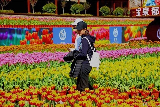 尊龙凯时铝业铝板厂家组织员工宝泉游玩